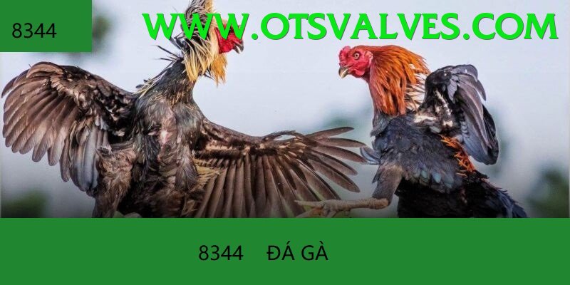 Cách Đọc Kèo Đá Gà